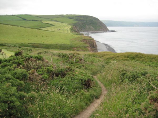 South West Coast Path from Abbotsham Cliff
