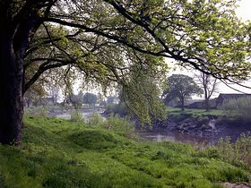 Airmyn river bank &copy; Kate Turner