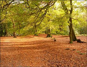 On The Edge &copy; George Marshall