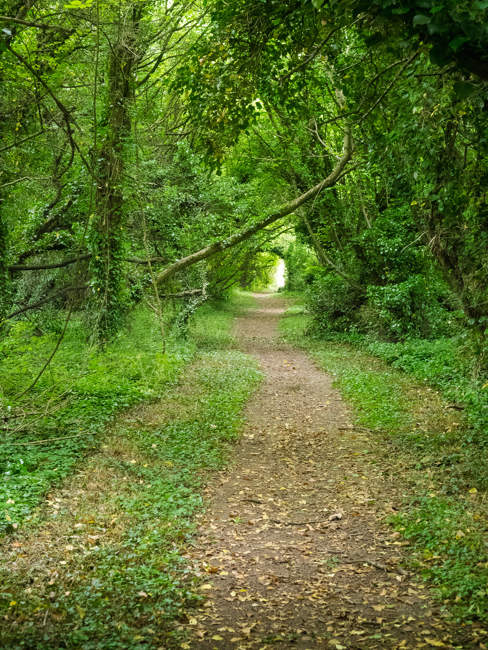 Harrow Way, West Andover