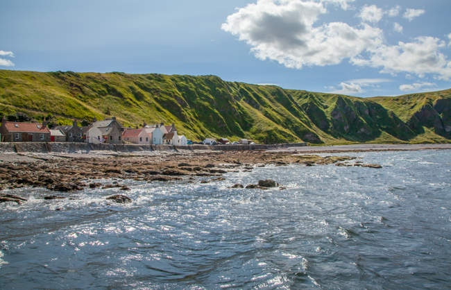 Crovie