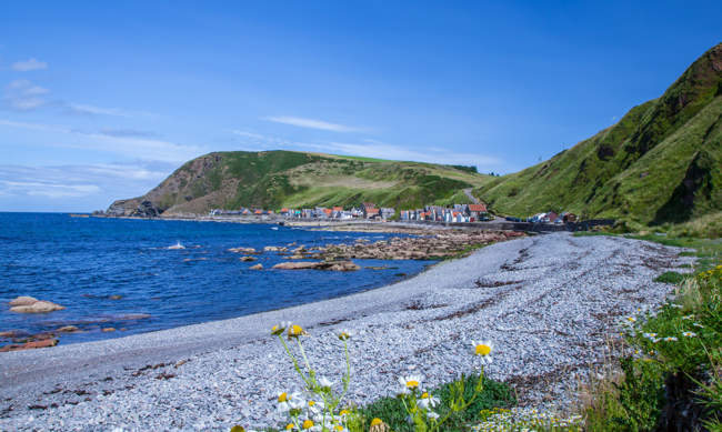 Crovie