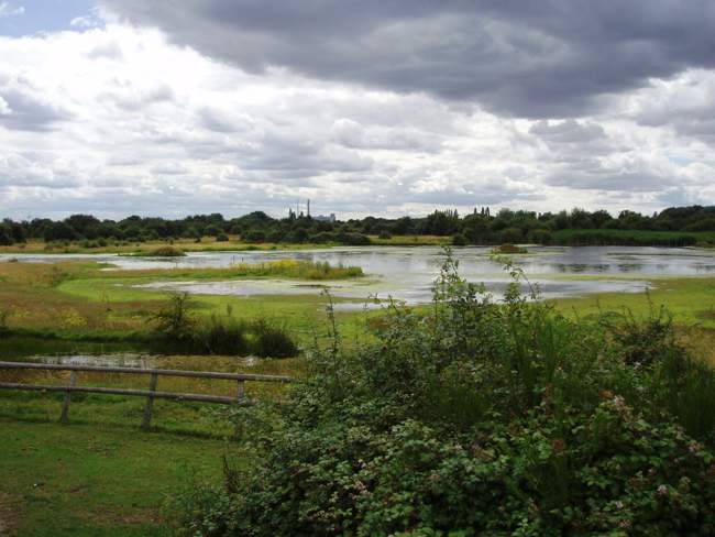 Chase Nature Reserve Barking and Dagenham