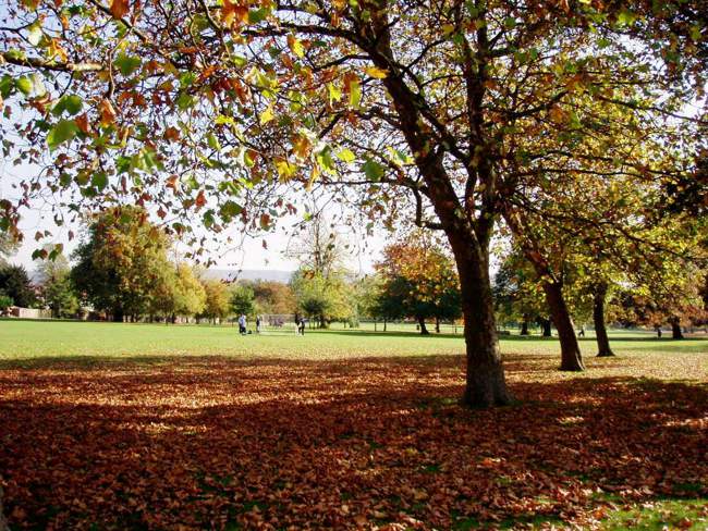 Hendon Park in Barnet
