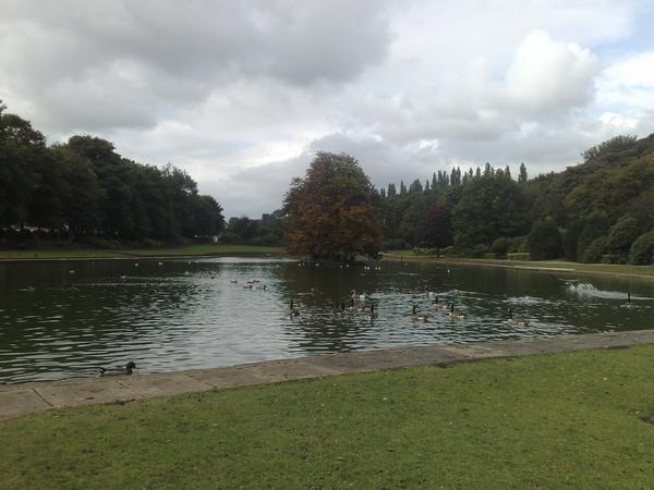 Wilton Park Duck Pond Batley