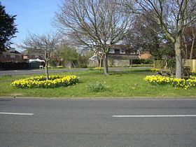 Junction of Park Lane & Hulbert Road. Daffs planted by Bedhampton volunteers &copy; Mrs Audrey Crook