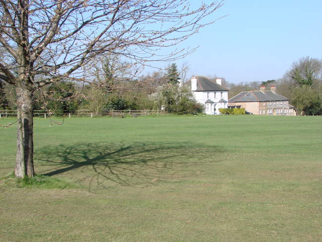Leaves Green &copy; Jeffrey Darlington