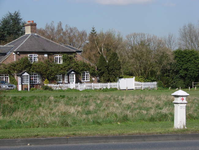 Leaves Green &copy; Jeffrey Darlington