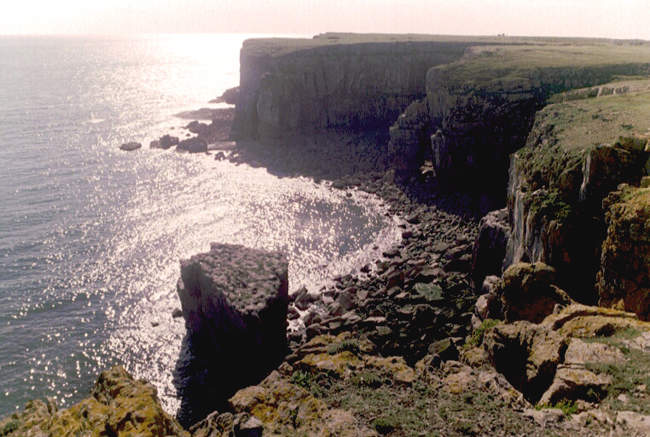 Cliffs, Trevallen Downs &copy; David Oakley-Hill 