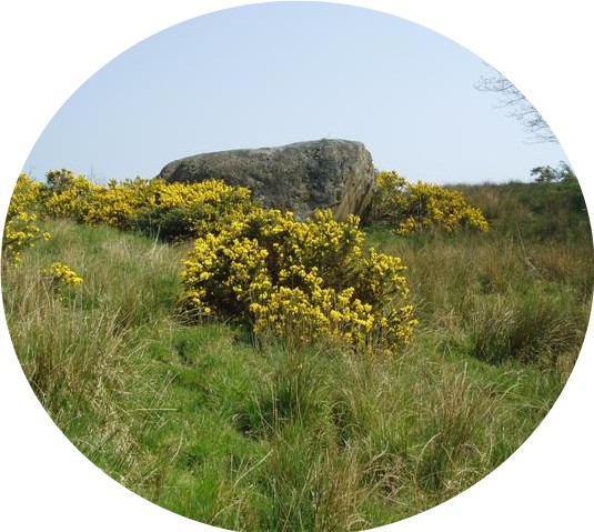 Boulder Stone &copy; victor de quincey