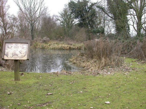 Brampton Conservation Pond