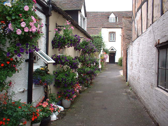 View of Bridgenorth &copy; Mrs Colette Bettis