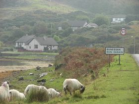 Coming from Roan Cottage &copy; Rob Potts