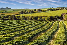 Farmland near Calton &copy; RodJonesPhotography.co.uk