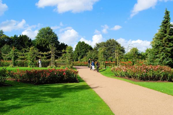 Regent's Park Rose Garden, London on sunny day