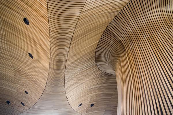 Ceiling of Welsh Assembly building made of curved wooden strips