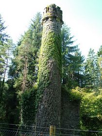 Wheal Glyn Mine Cardinham woods &copy; Dave Quinnell