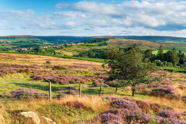North York Moors National Park