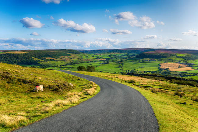 The countryside at Danby
