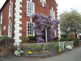 Wisteria in bloom &copy;Vincent Paul Broadbent