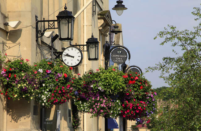 Floral Display in Chippenham
