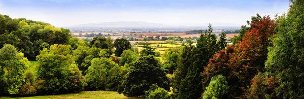 Kiftsgate Court Gardens in Mickleton near Chipping Campden