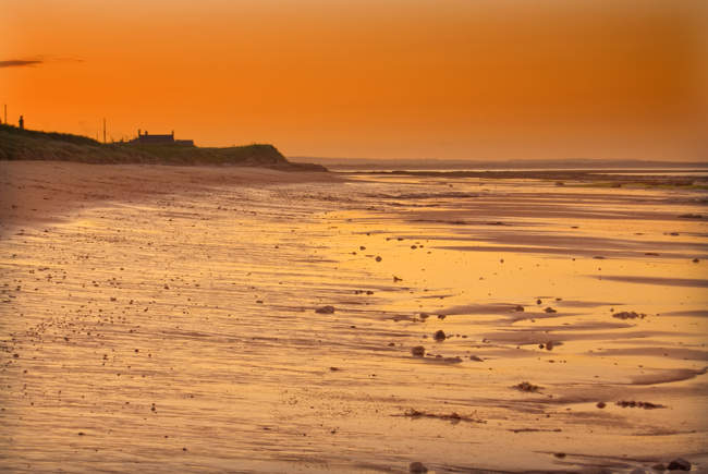 Cresswell beach shore