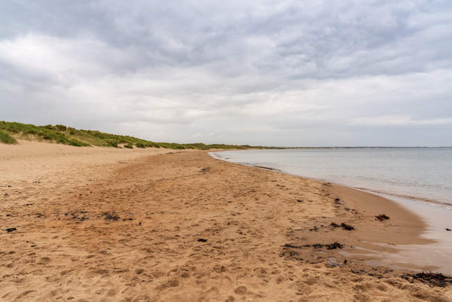 North Sea Coast and the beach near Cresswell