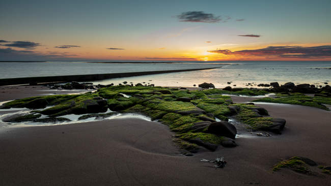 Sunrise at Cresswell Beach