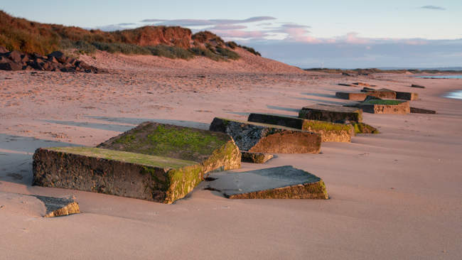 Cresswell Beach in early morning light with WW2 coastal defence concrete blocks in sand.