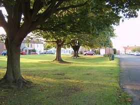 summer2 Dalton-on-Tees &copy; Denis Sharp