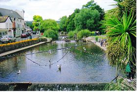 Dawlish &copy;  Dave Wilton 