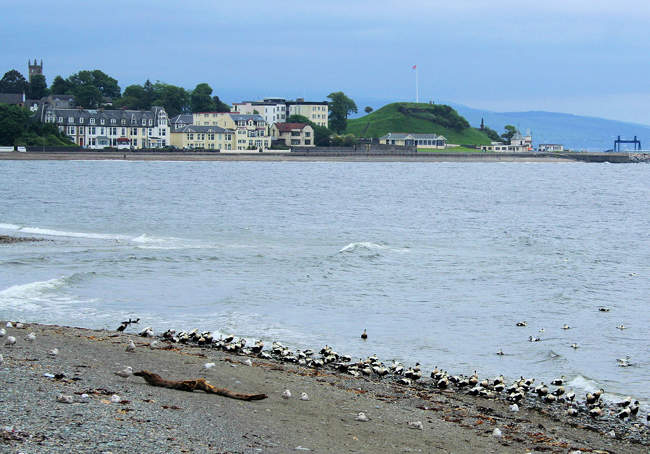 West Bay Dunoon &copy; John Mcleish www.images-scotland.com
