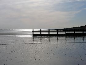 Beach at low tide, dusk &copy; Melissa Gardner