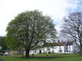 The green looking north west © W.R. Gibson JP The green looking north west © W.R. Gibson JP
