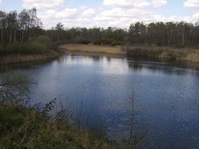 Fingringhoe Nature Reserve &copy; Deborah Blackman