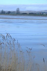 View across the Severn from Upper framilode &copy; Betty Haynes