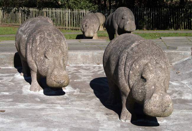 Thirsty Hippos. Stanley Bonnar joined the team of Glenrothes Town Artists and created the iconic concrete hippos. They are situated in several locations throughout the town. &copy; Ian Sloan Photography