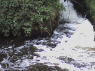 Canal bank Golcar &copy; Will Hirst