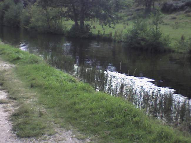 Canal bank Golcar &copy; Will Hirst
