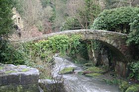 Jesmond Dene Newcastle © Tracy White Jesmond Dene Newcastle © Tracy White