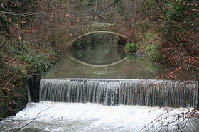 Jesmond Dene &copy; Tracy White