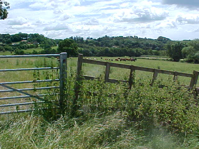 © Sarah Seaton M.A. Greasley Countryside © Sarah Seaton M.A.