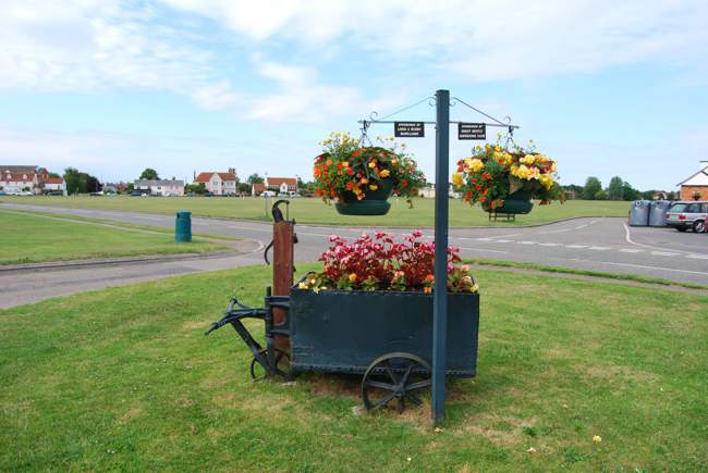 Flower display &copy; Philip Morgan