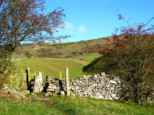 Path and Stile near Great Longstone &copy; Michael Watson