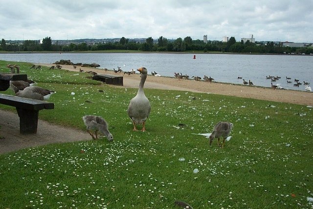 Strathclyde Country Park