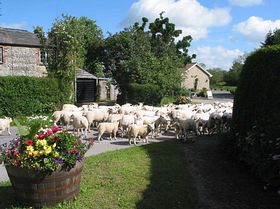 Hanging Langford - The Old Forge &copy; Mrs. Georgina Helyer