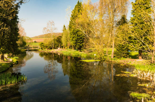Reflections, Gadebridge Park