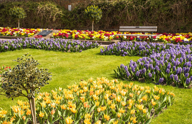 The Charter Tower Gardens