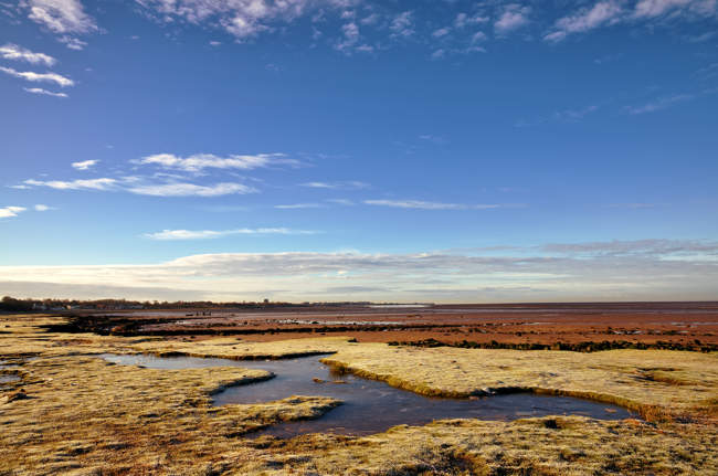 Frozen grass on Morecambe Bay in Winter.